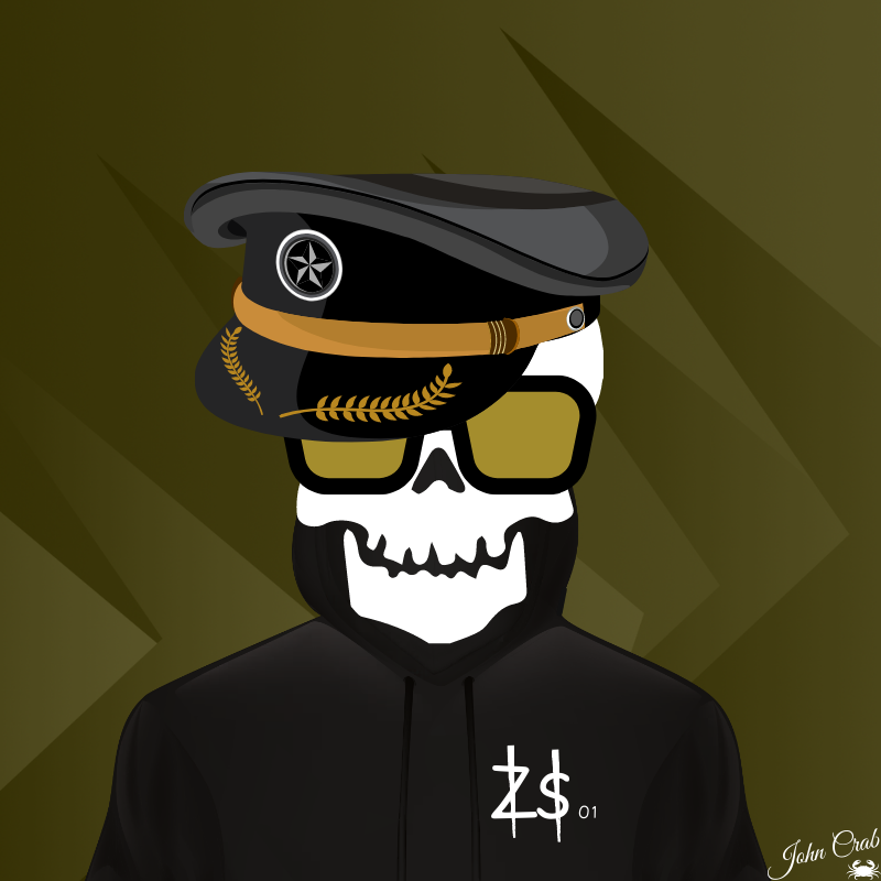 zs01